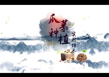 瓜蔞種植實用技術